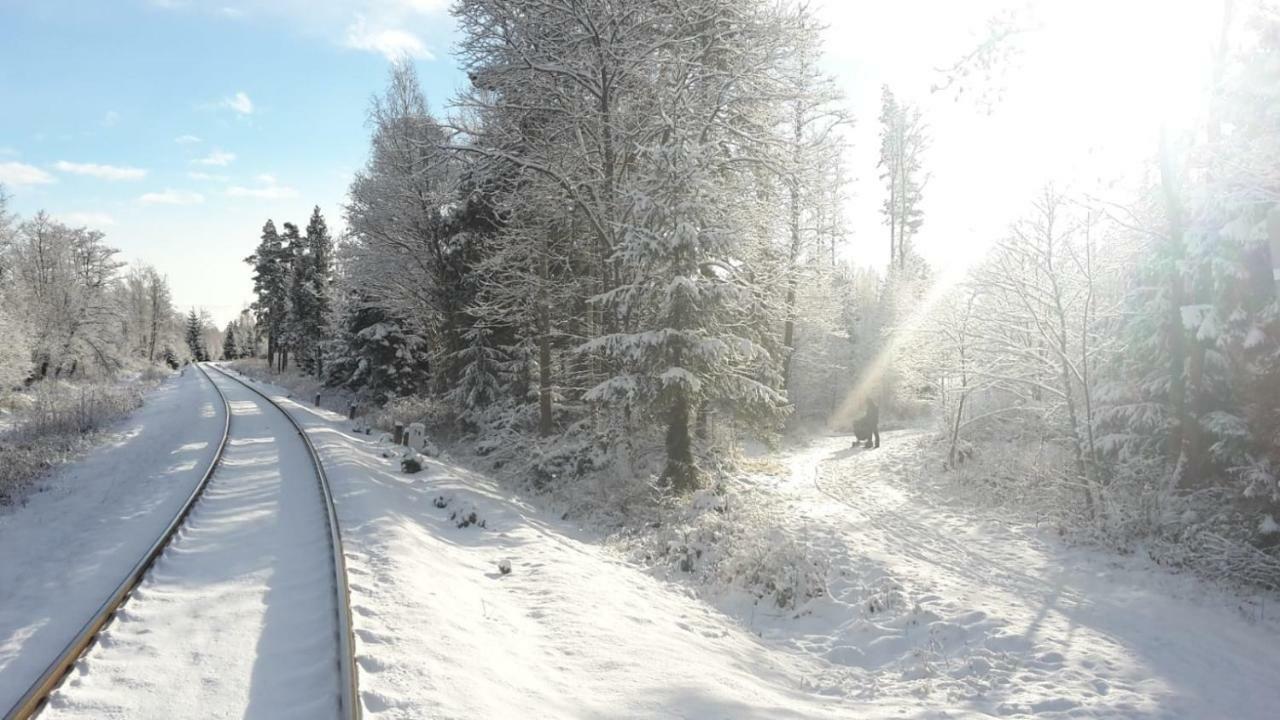 Tatry Fimali Lägenhet Tatranská Lomnica Exteriör bild